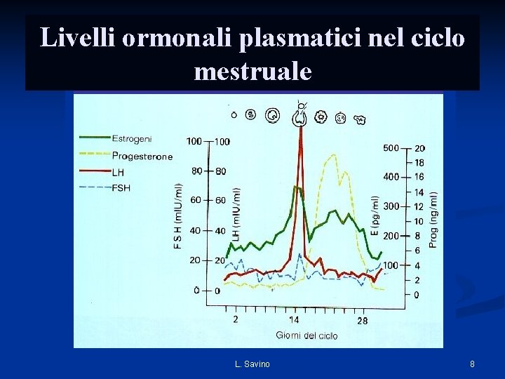 Livelli ormonali plasmatici nel ciclo mestruale L. Savino 8 