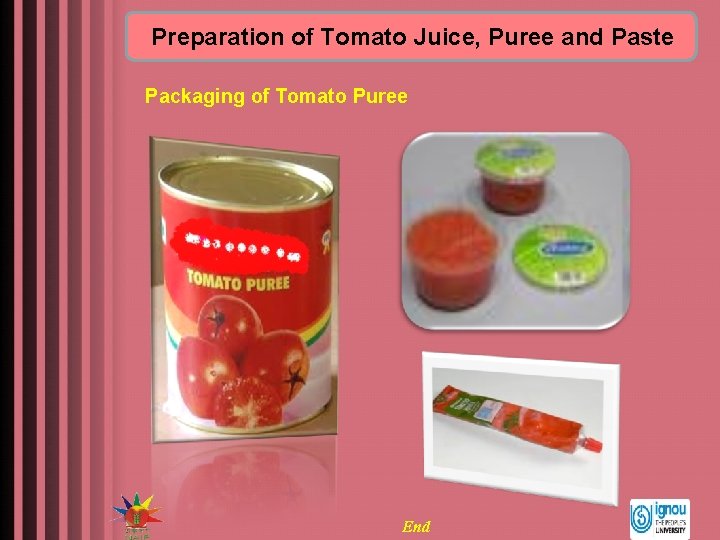 Preparation of Tomato Juice, Puree and Paste Packaging of Tomato Puree End 15 