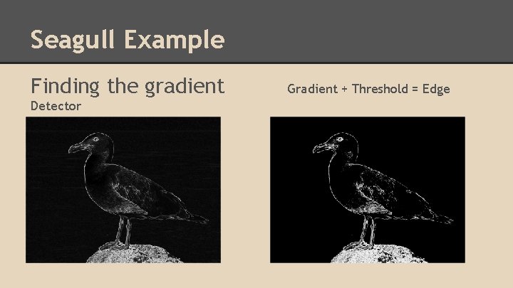 Seagull Example Finding the gradient Detector Gradient + Threshold = Edge 