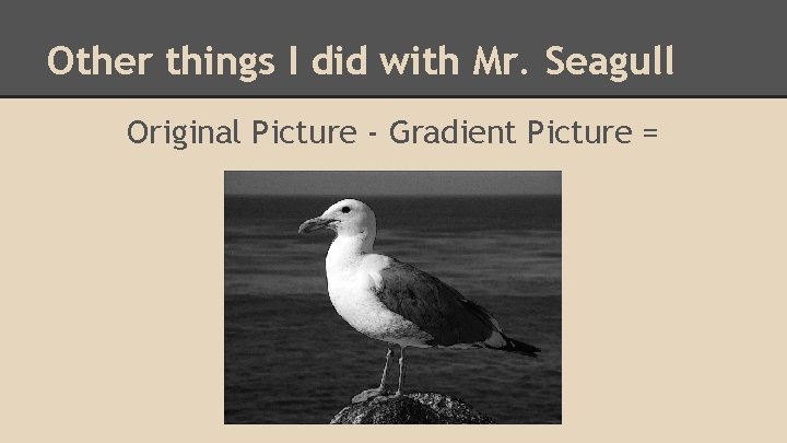 Other things I did with Mr. Seagull Original Picture - Gradient Picture = 