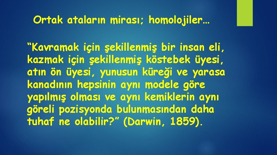 Ortak ataların mirası; homolojiler… “Kavramak için şekillenmiş bir insan eli, kazmak için şekillenmiş köstebek