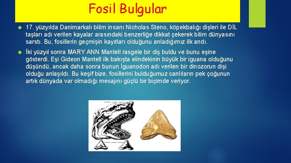 Fosil Bulgular 17. yüzyılda Danimarkalı bilim insanı Nicholas Steno, köpekbalığı dişleri ile DİL taşları