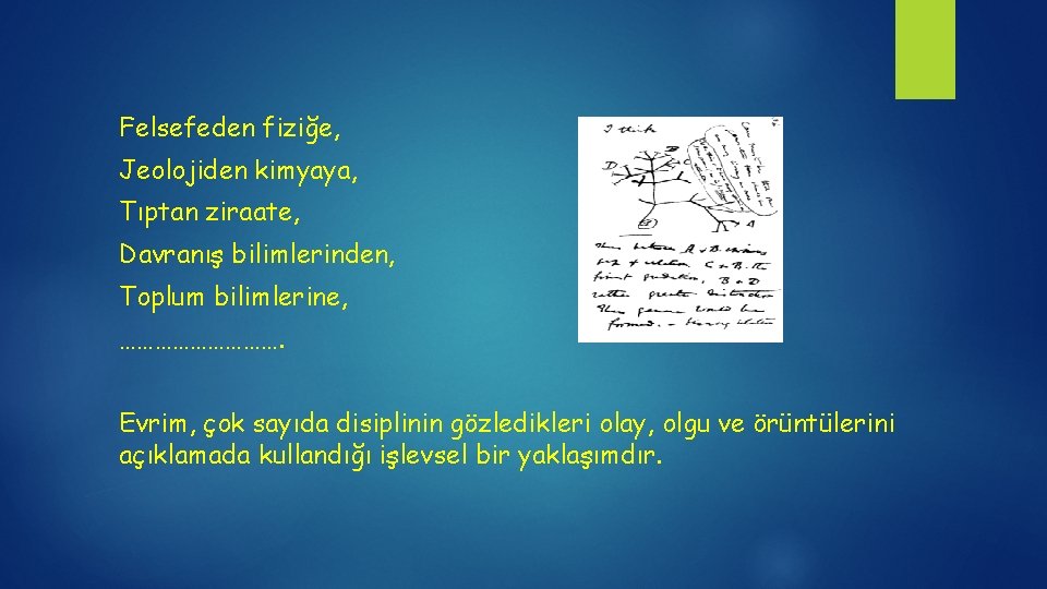 Felsefeden fiziğe, Jeolojiden kimyaya, Tıptan ziraate, Davranış bilimlerinden, Toplum bilimlerine, ……………. Evrim, çok sayıda