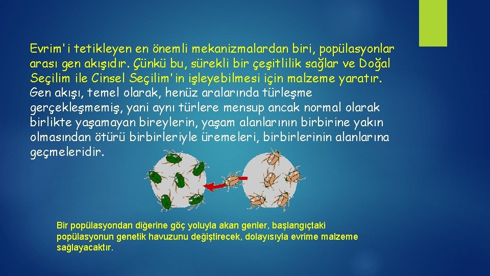 Evrim'i tetikleyen en önemli mekanizmalardan biri, popülasyonlar arası gen akışıdır. Çünkü bu, sürekli bir