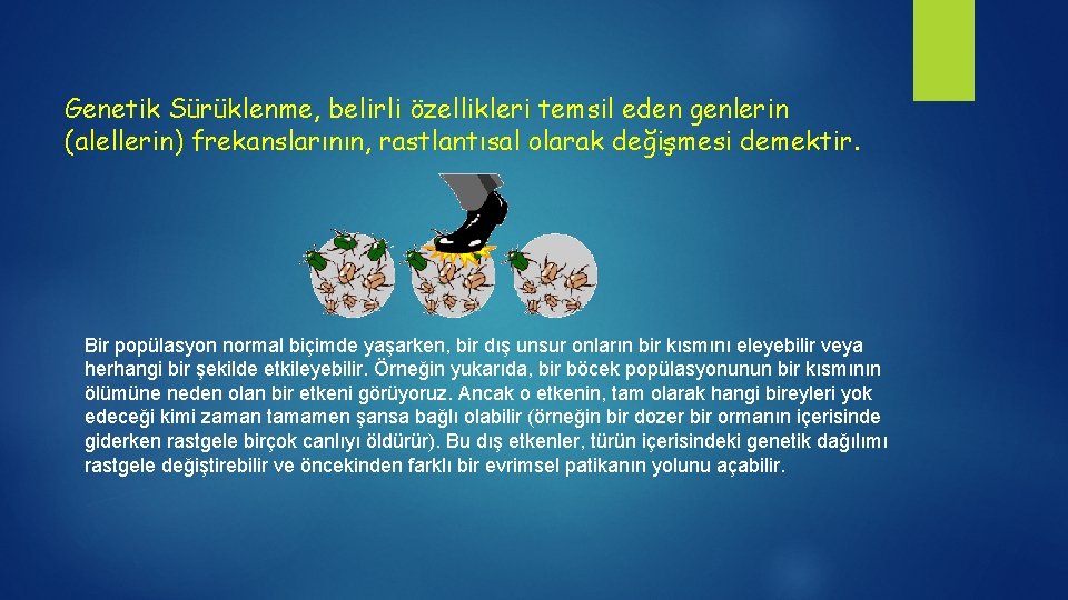 Genetik Sürüklenme, belirli özellikleri temsil eden genlerin (alellerin) frekanslarının, rastlantısal olarak değişmesi demektir. Bir