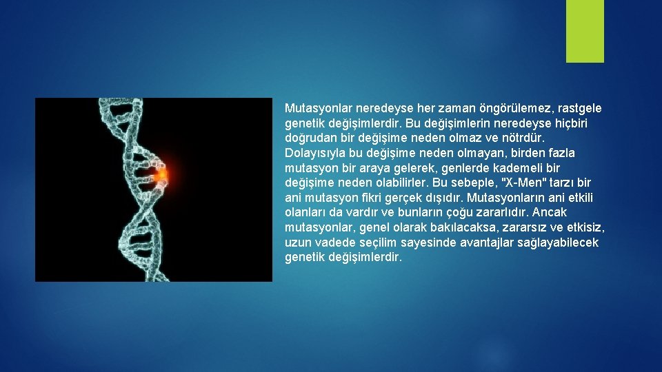 Mutasyonlar neredeyse her zaman öngörülemez, rastgele genetik değişimlerdir. Bu değişimlerin neredeyse hiçbiri doğrudan bir