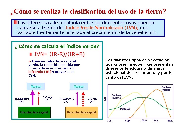 ¿Cómo se realiza la clasificación del uso de la tierra? Las diferencias de fenología