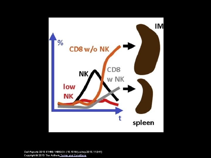 Cell Reports 2013 51489 -1498 DOI: (10. 1016/j. celrep. 2013. 11. 041) Copyright ©