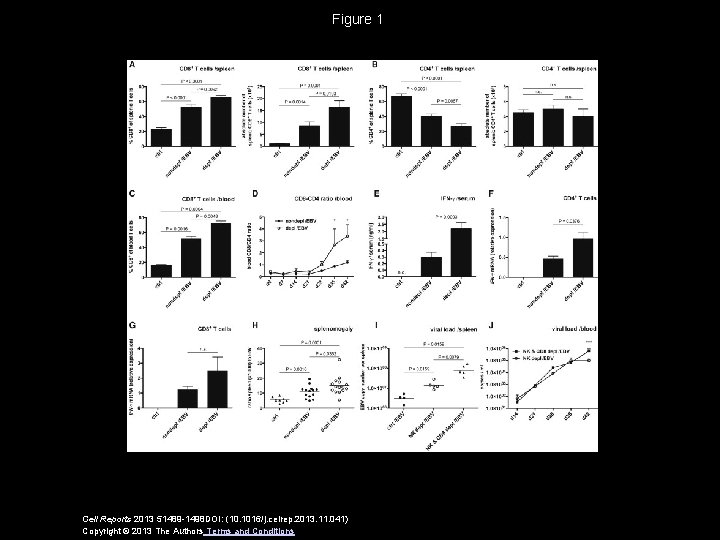 Figure 1 Cell Reports 2013 51489 -1498 DOI: (10. 1016/j. celrep. 2013. 11. 041)