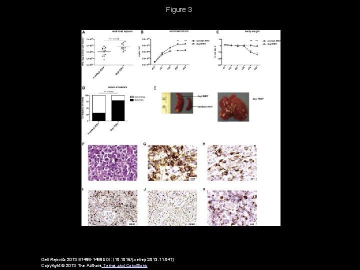 Figure 3 Cell Reports 2013 51489 -1498 DOI: (10. 1016/j. celrep. 2013. 11. 041)