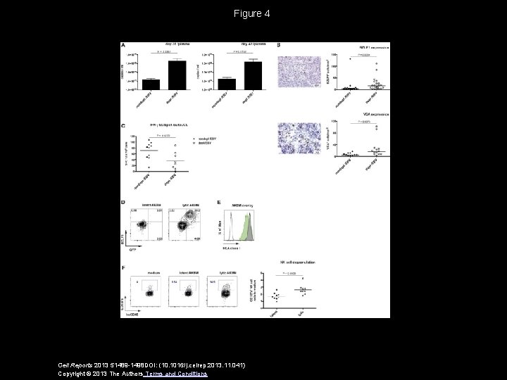 Figure 4 Cell Reports 2013 51489 -1498 DOI: (10. 1016/j. celrep. 2013. 11. 041)