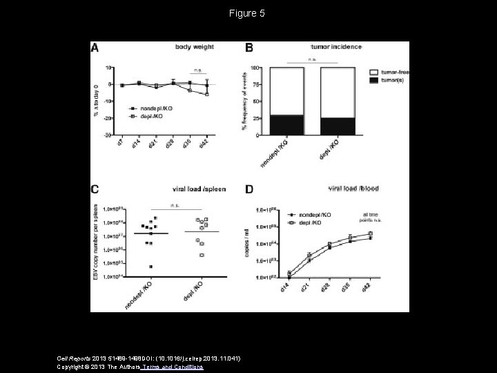 Figure 5 Cell Reports 2013 51489 -1498 DOI: (10. 1016/j. celrep. 2013. 11. 041)