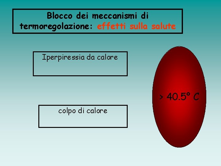 Blocco dei meccanismi di termoregolazione: effetti sulla salute Iperpiressia da calore > 40. 5°