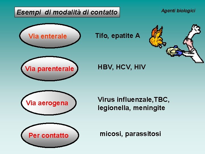 Esempi di modalità di contatto Via enterale Agenti biologici Tifo, epatite A Via parenterale