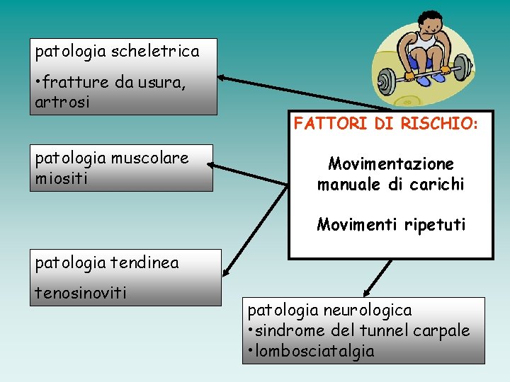 patologia scheletrica • fratture da usura, artrosi patologia muscolare miositi FATTORI DI RISCHIO: Movimentazione