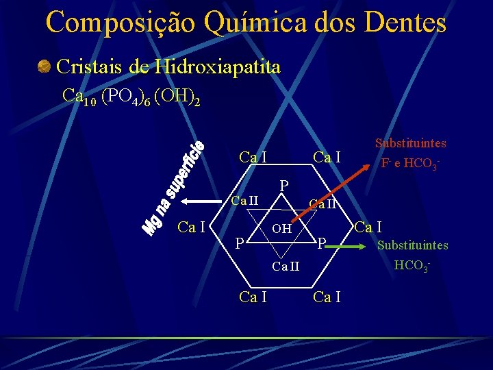 Composição Química dos Dentes Cristais de Hidroxiapatita Ca 10 (PO 4)6 (OH)2 Ca II