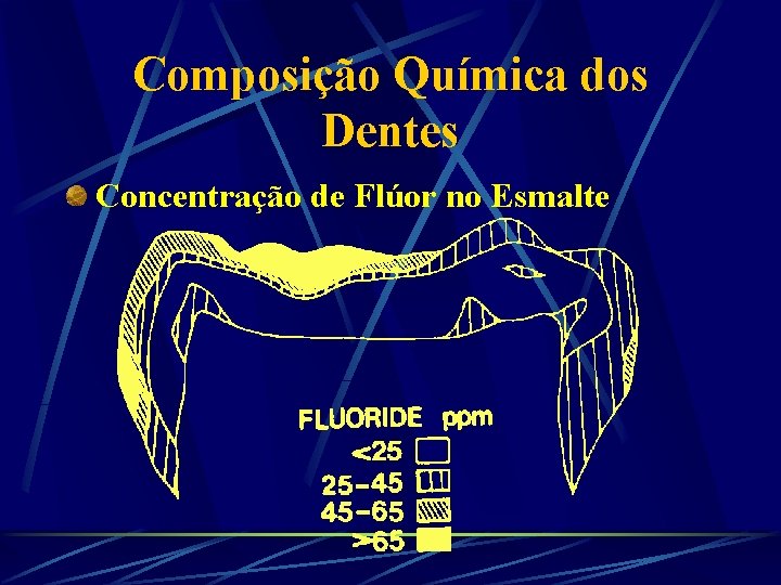 Composição Química dos Dentes Concentração de Flúor no Esmalte 
