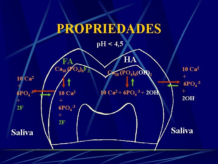 PROPRIEDADES p. H < 4, 5 FA Ca 10 (PO 4)6 F 2 Ca