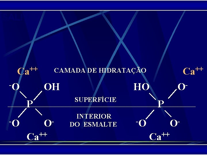 SALIVA CAMADA DE HIDRATAÇÃO Ca++ -O OH HO SUPERFÍCIE P -O OCa++ INTERIOR DO