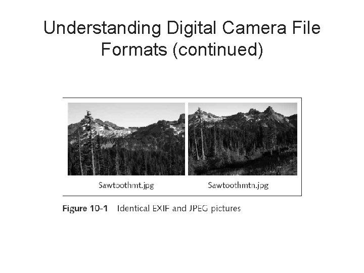 Understanding Digital Camera File Formats (continued) 