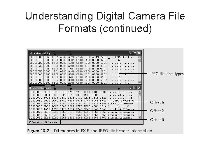 Understanding Digital Camera File Formats (continued) 
