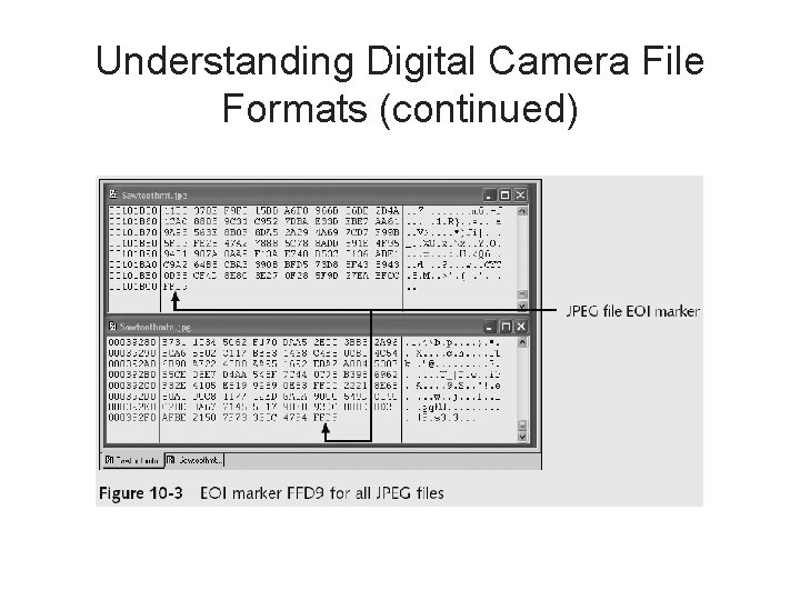 Understanding Digital Camera File Formats (continued) 