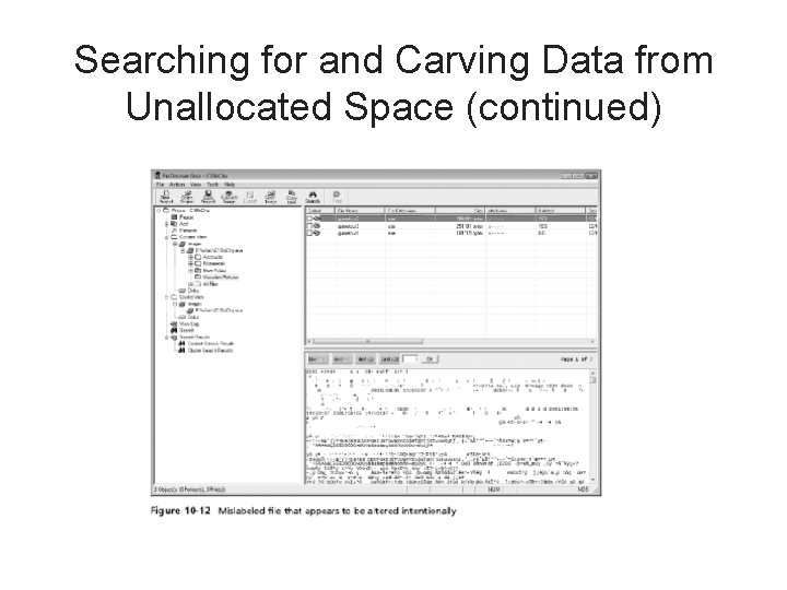 Searching for and Carving Data from Unallocated Space (continued) 