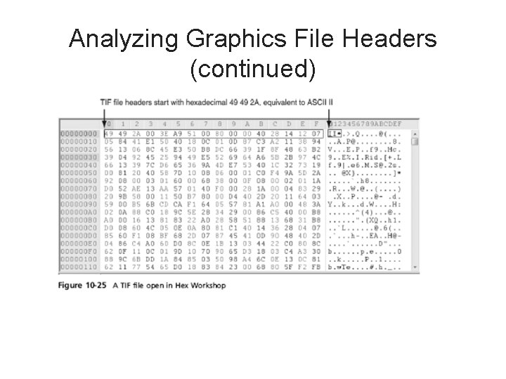 Analyzing Graphics File Headers (continued) 