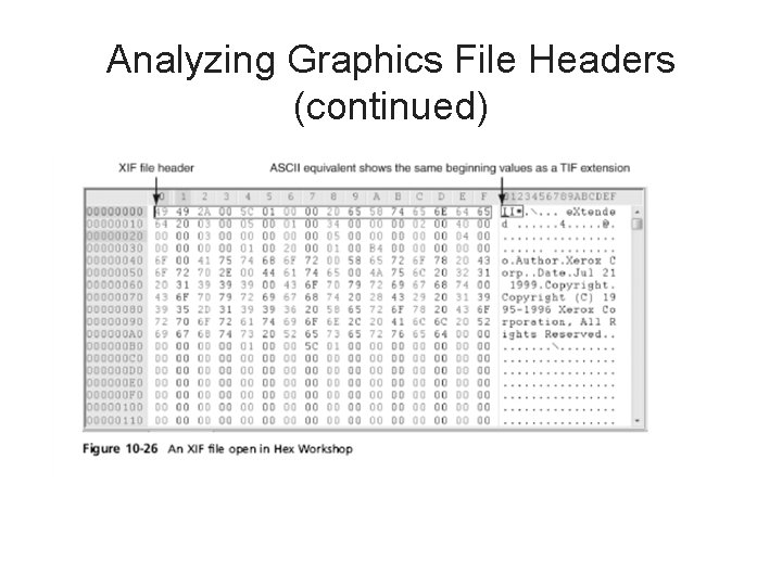 Analyzing Graphics File Headers (continued) 