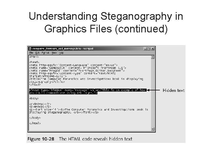 Understanding Steganography in Graphics Files (continued) 