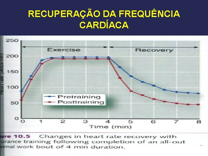 RECUPERAÇÃO DA FREQUÊNCIA CARDÍACA 