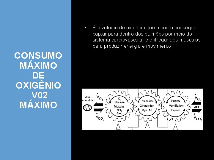  • CONSUMO MÁXIMO DE OXIGÊNIO V 02 MÁXIMO É o volume de oxigênio