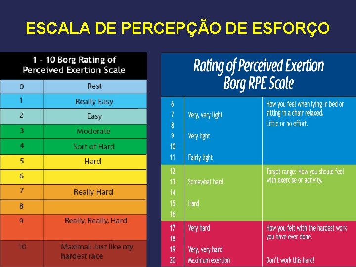 ESCALA DE PERCEPÇÃO DE ESFORÇO 