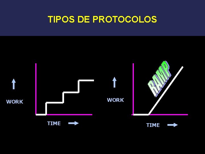 TIPOS DE PROTOCOLOS WORK TIME 