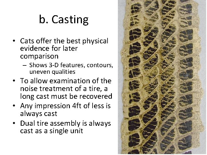 b. Casting • Cats offer the best physical evidence for later comparison – Shows