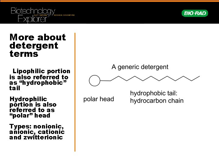 More about detergent terms Lipophilic portion is also referred to as “hydrophobic” tail Hydrophilic
