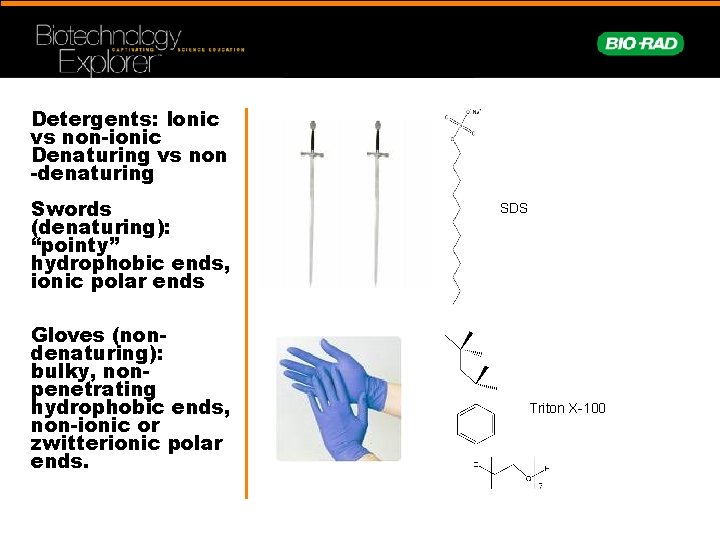 Detergents: Ionic vs non-ionic Denaturing vs non -denaturing Swords (denaturing): “pointy” hydrophobic ends, ionic