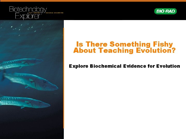 Is There Something Fishy About Teaching Evolution? Explore Biochemical Evidence for Evolution 