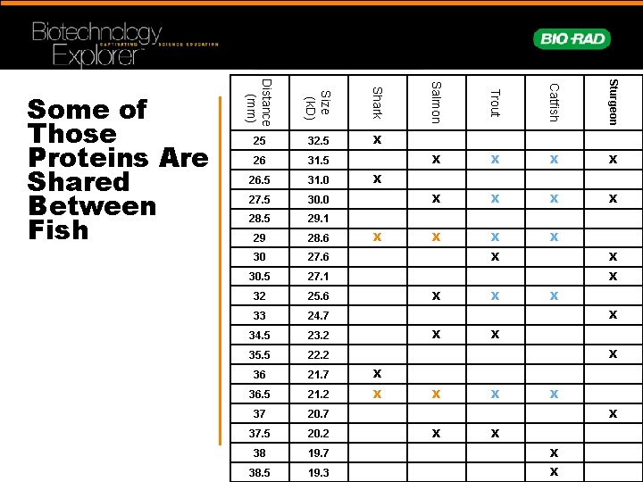 26 31. 5 26. 5 31. 0 27. 5 30. 0 28. 5 29. 26 31. 5 26. 5 31. 0 27. 5 30. 0 28. 5 29.