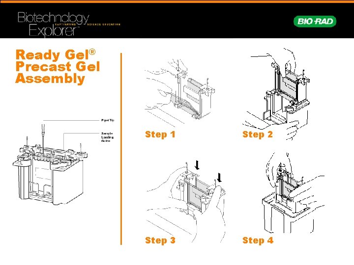 Ready Gel® Precast Gel Assembly Step 1 Step 2 Step 3 Step 4 