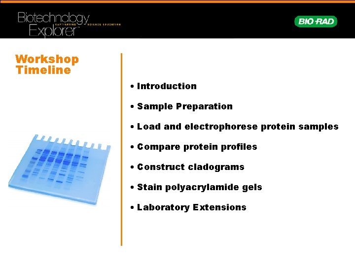 Workshop Timeline • Introduction • Sample Preparation • Load and electrophorese protein samples •