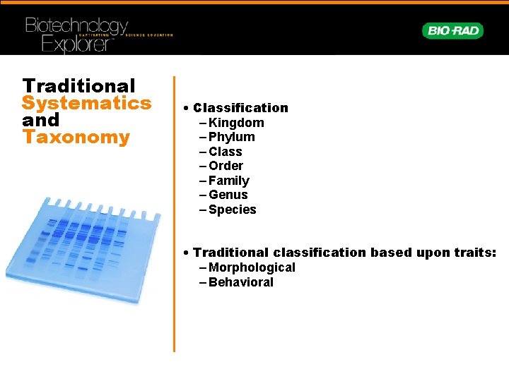 Traditional Systematics and Taxonomy • Classification – Kingdom – Phylum – Class – Order