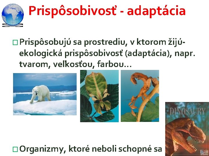 Prispôsobivosť - adaptácia � Prispôsobujú sa prostrediu, v ktorom žijú- ekologická prispôsobivosť (adaptácia), napr.