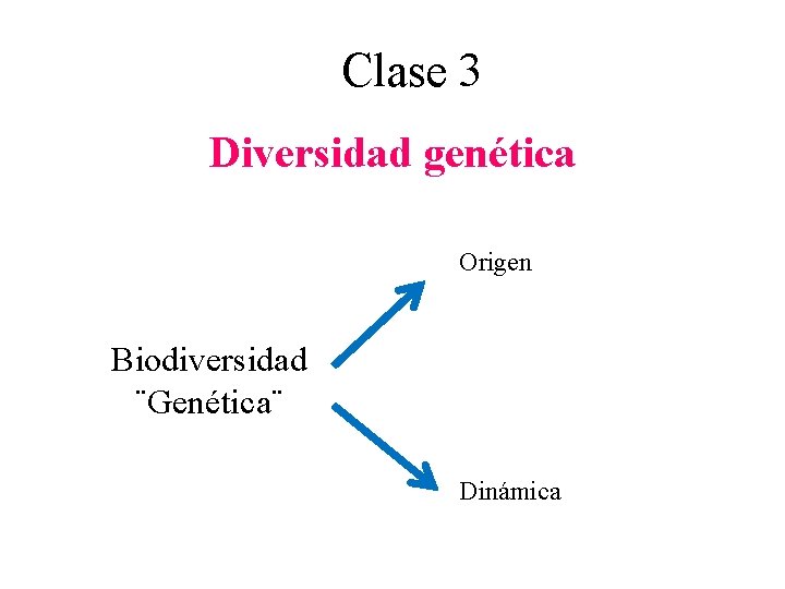Clase 3 Diversidad genética Origen Biodiversidad ¨Genética¨ Dinámica 