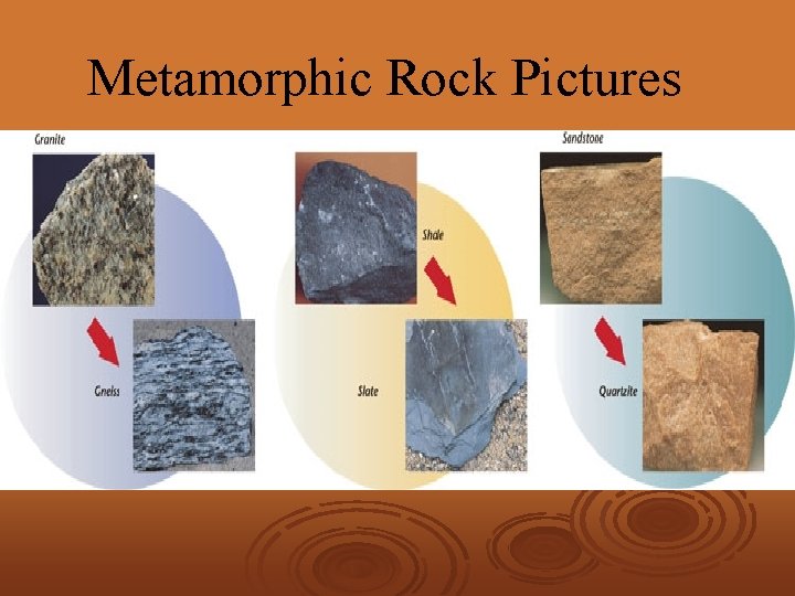 Metamorphic Rock Pictures 