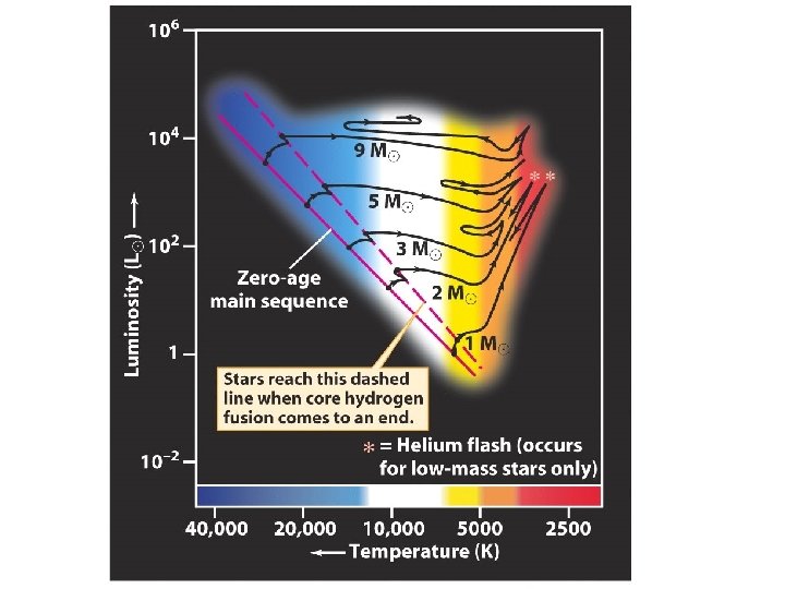 Higher mass stars do not have helium flash 