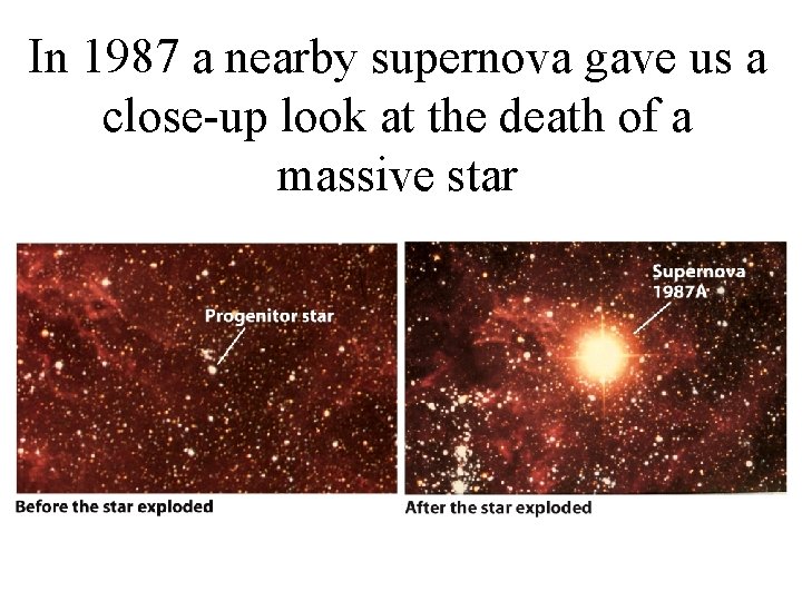 In 1987 a nearby supernova gave us a close-up look at the death of