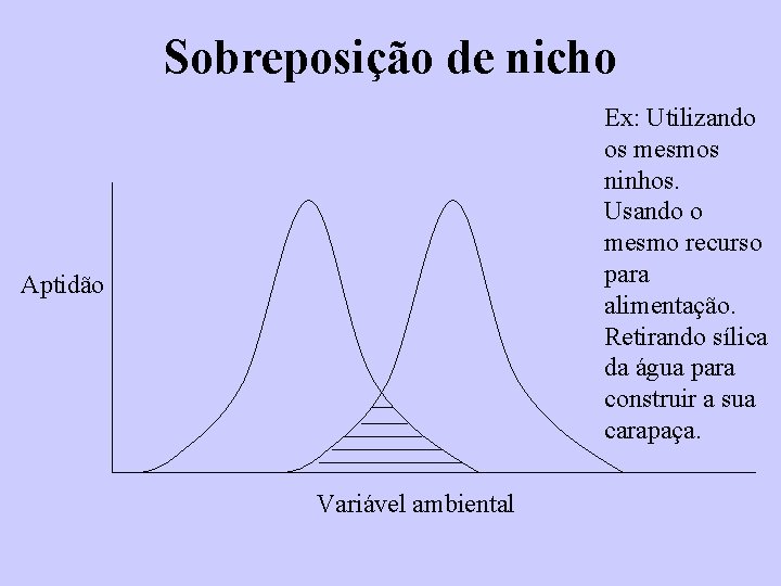 Sobreposição de nicho Ex: Utilizando os mesmos ninhos. Usando o mesmo recurso para alimentação.