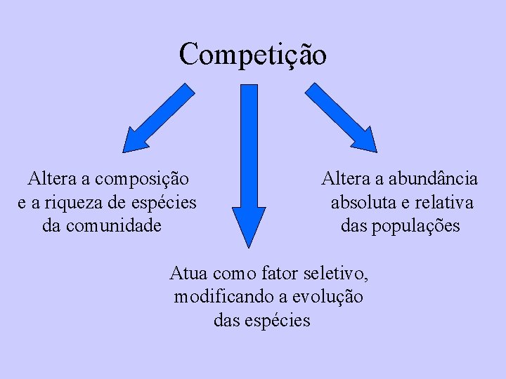 Competição Altera a composição e a riqueza de espécies da comunidade Altera a abundância