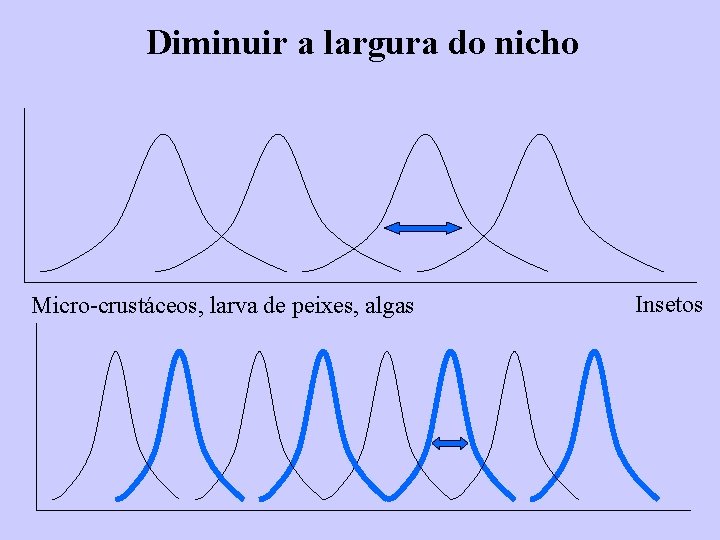 Diminuir a largura do nicho Micro-crustáceos, larva de peixes, algas Insetos 